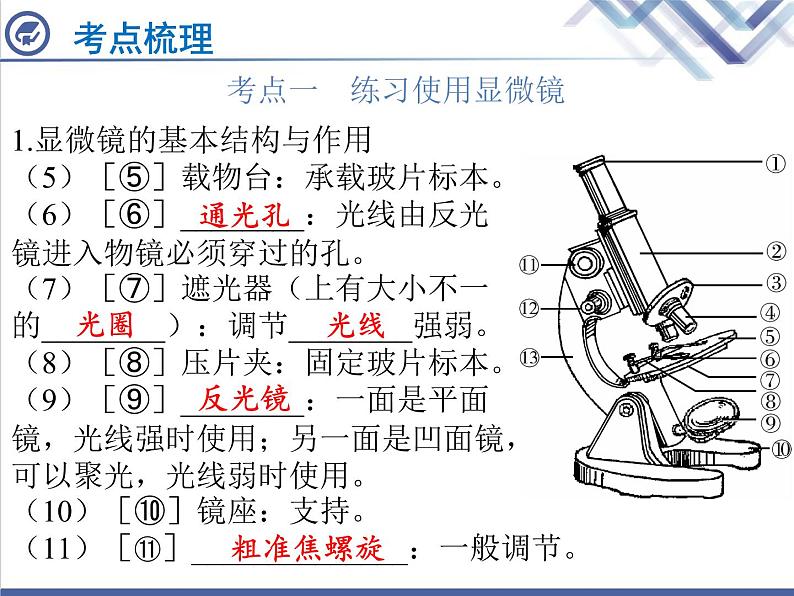 生物中考复习第1章细胞是生命活动的基本单位PPT课件03