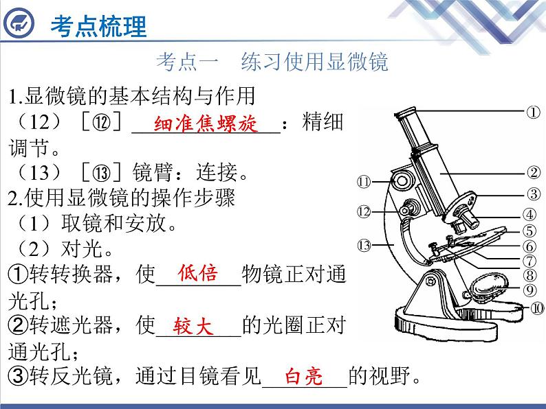 生物中考复习第1章细胞是生命活动的基本单位PPT课件04