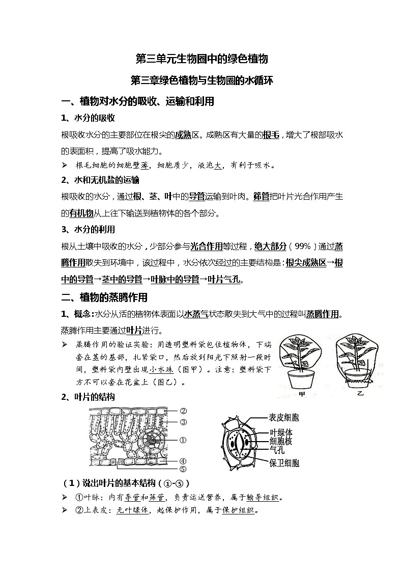05 绿色植物的三大作用-2022年中考生物一轮复习核心考点必背知识清单01