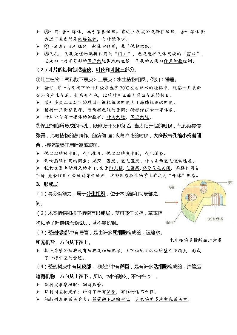 05 绿色植物的三大作用-2022年中考生物一轮复习核心考点必背知识清单02