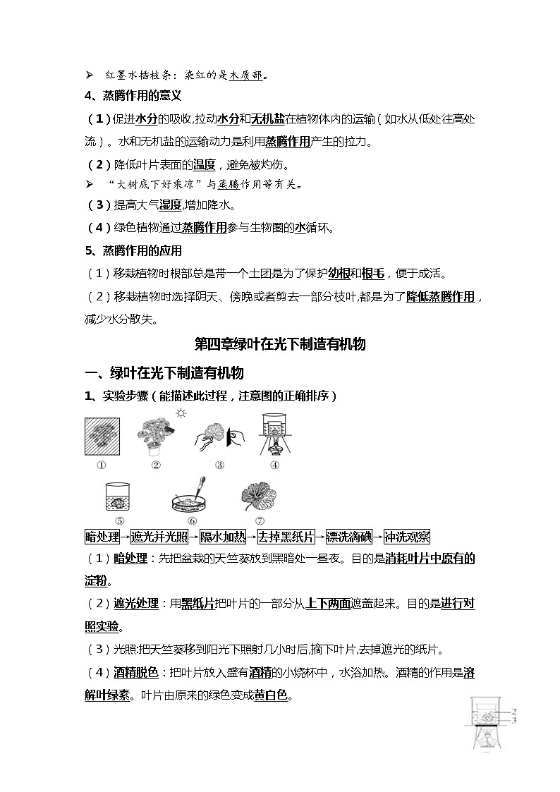 05 绿色植物的三大作用-2022年中考生物一轮复习核心考点必背知识清单03