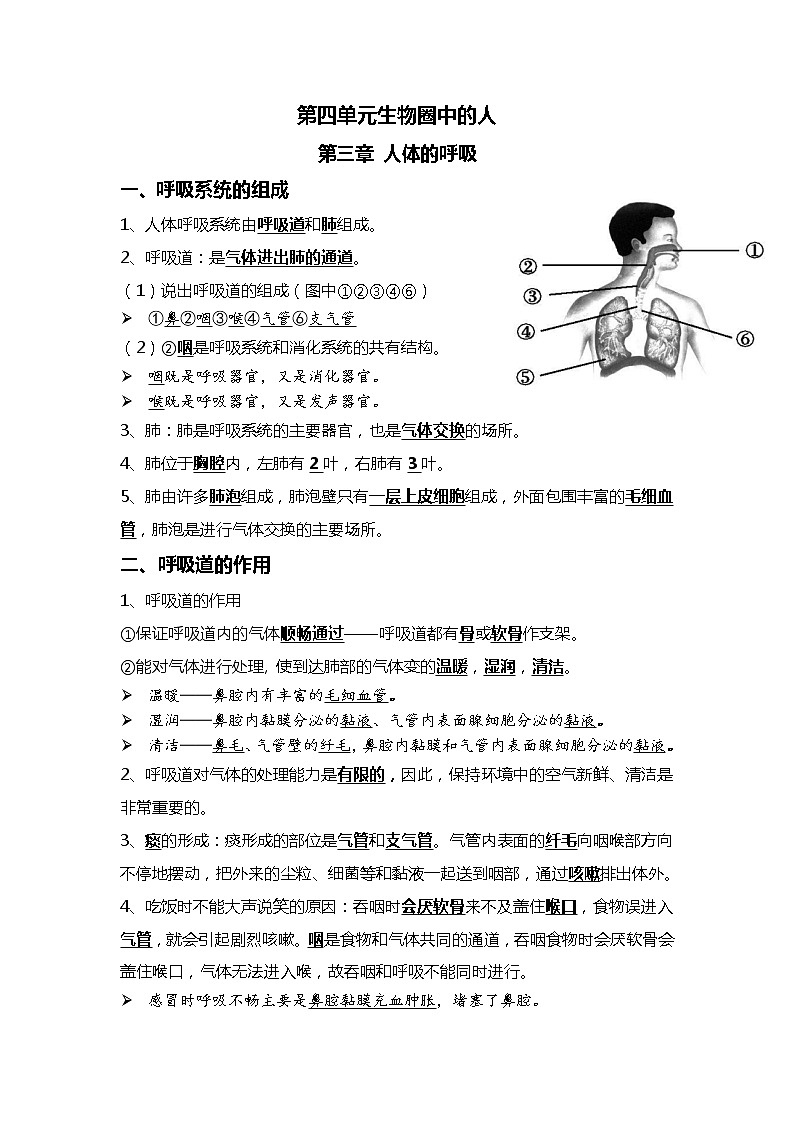 07 人体的呼吸+人体内物质的运输-2022年中考生物一轮复习核心考点必背知识清单第1页