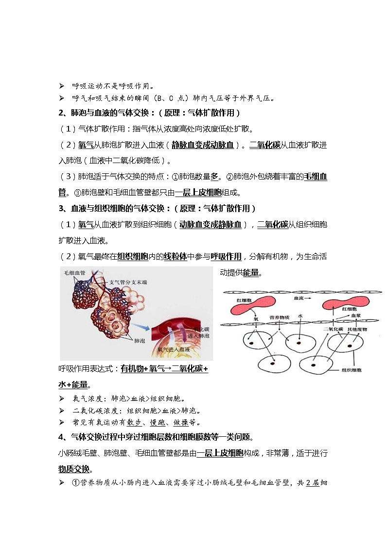 07 人体的呼吸+人体内物质的运输-2022年中考生物一轮复习核心考点必背知识清单第3页
