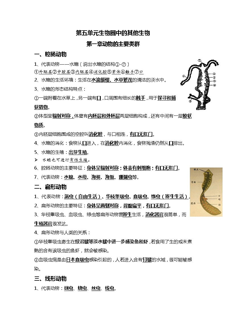 09 动物的主要类群+动物的运动和行为-2022年中考生物一轮复习核心考点必背知识清单第1页