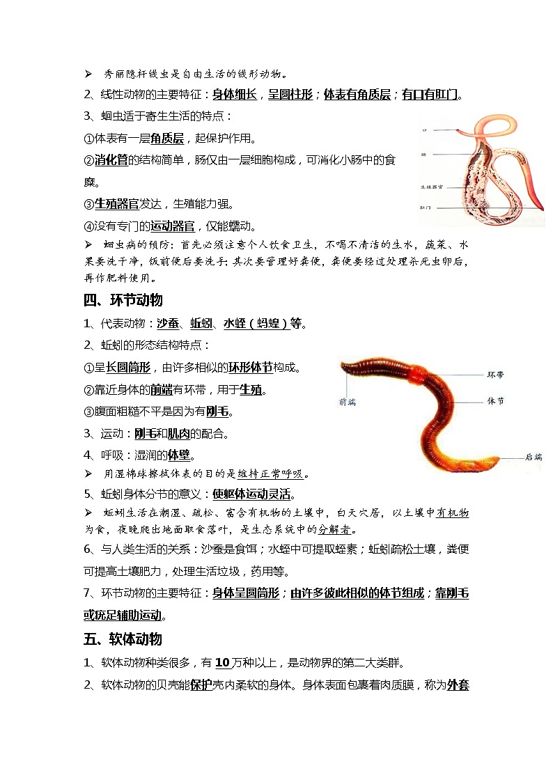 09 动物的主要类群+动物的运动和行为-2022年中考生物一轮复习核心考点必背知识清单第2页