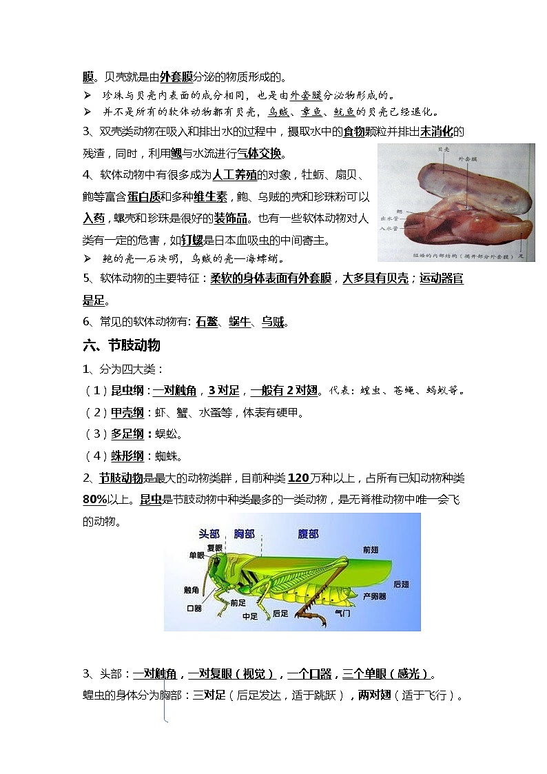 09 动物的主要类群+动物的运动和行为-2022年中考生物一轮复习核心考点必背知识清单第3页