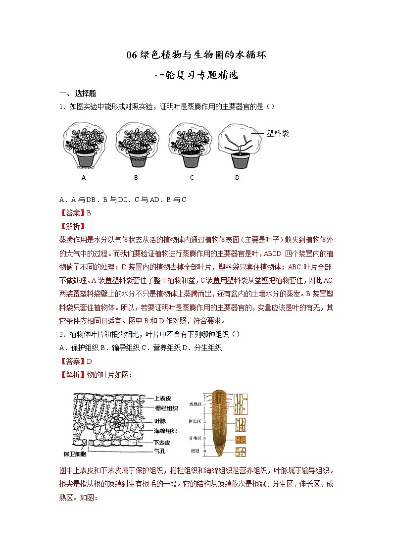 专题06 绿色植物与生物圈的水循环（习题）-【过一轮】2022年中考生物一轮复习课件精讲与习题精练（解析版）第1页