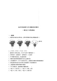 专题06 绿色植物与生物圈的水循环（习题）-【过一轮】2022年中考生物一轮复习课件精讲与习题精练