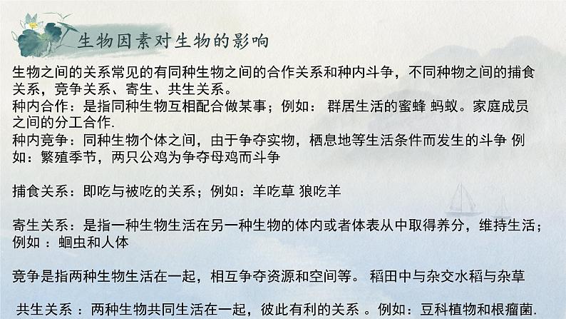 2022年中考生物复习资料-生物和生物圈课件08