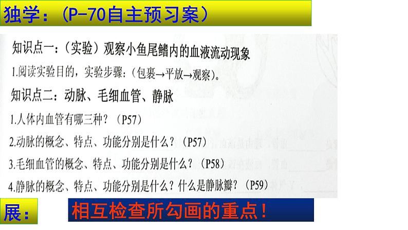 4-4-2血流的管道——血管课件2021-2022学年人教版七年级生物下册03