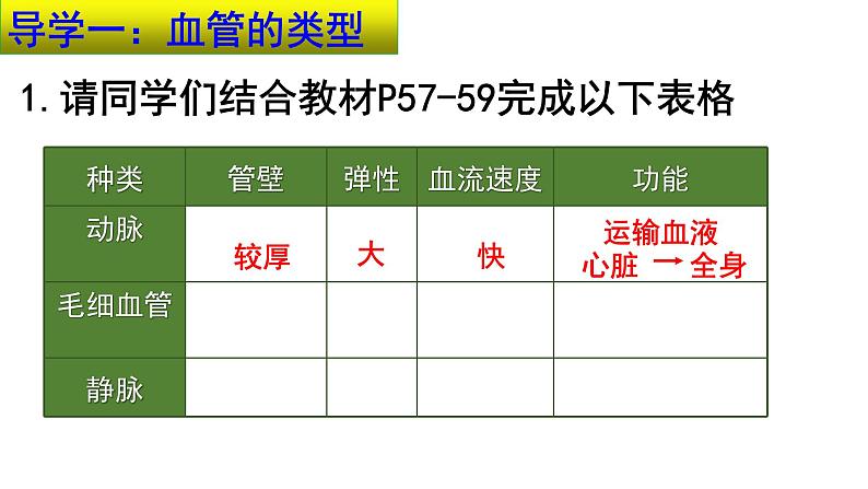 4-4-2血流的管道——血管课件2021-2022学年人教版七年级生物下册06