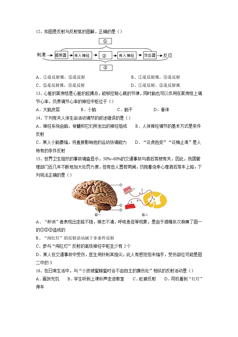 专题14 人体生命活动的调节（习题）-【过一轮】2022年中考生物一轮复习课件精讲与习题精练（原卷版）第3页