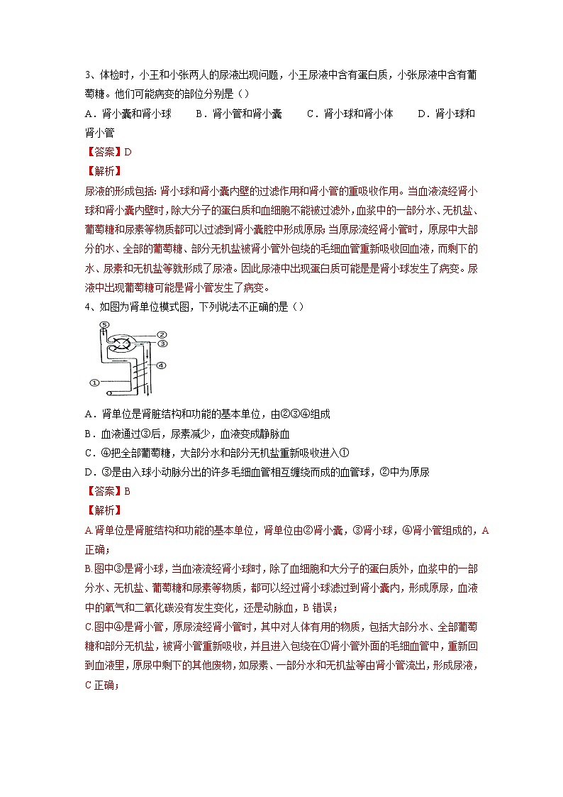 专题13 人体内废物的排出（习题）-【过一轮】2022年中考生物一轮复习课件精讲与习题精练（解析版）第2页