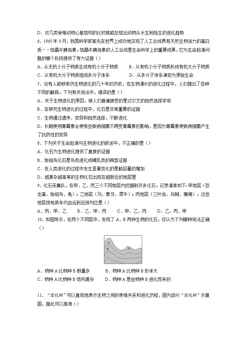 专题21 生命起源和生物进化（习题）-【过一轮】2022年中考生物一轮复习课件精讲与习题精练（原卷版）第2页