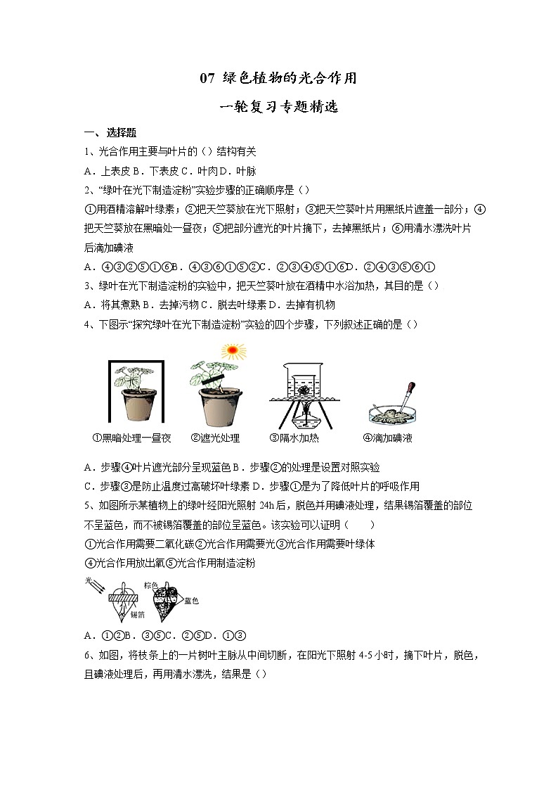 专题07 绿色植物的光合作用（习题）-【过一轮】2022年中考生物一轮复习课件精讲与习题精练（原卷版）第1页