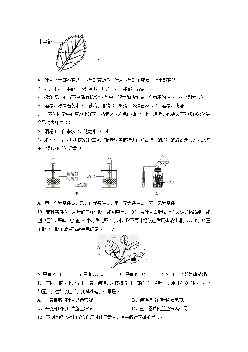 专题07 绿色植物的光合作用（习题）-【过一轮】2022年中考生物一轮复习课件精讲与习题精练（原卷版）第2页