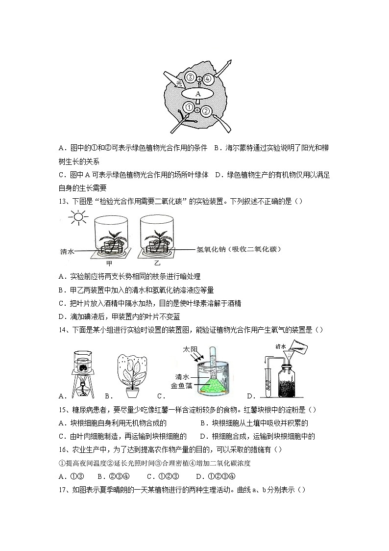 专题07 绿色植物的光合作用（习题）-【过一轮】2022年中考生物一轮复习课件精讲与习题精练（原卷版）第3页