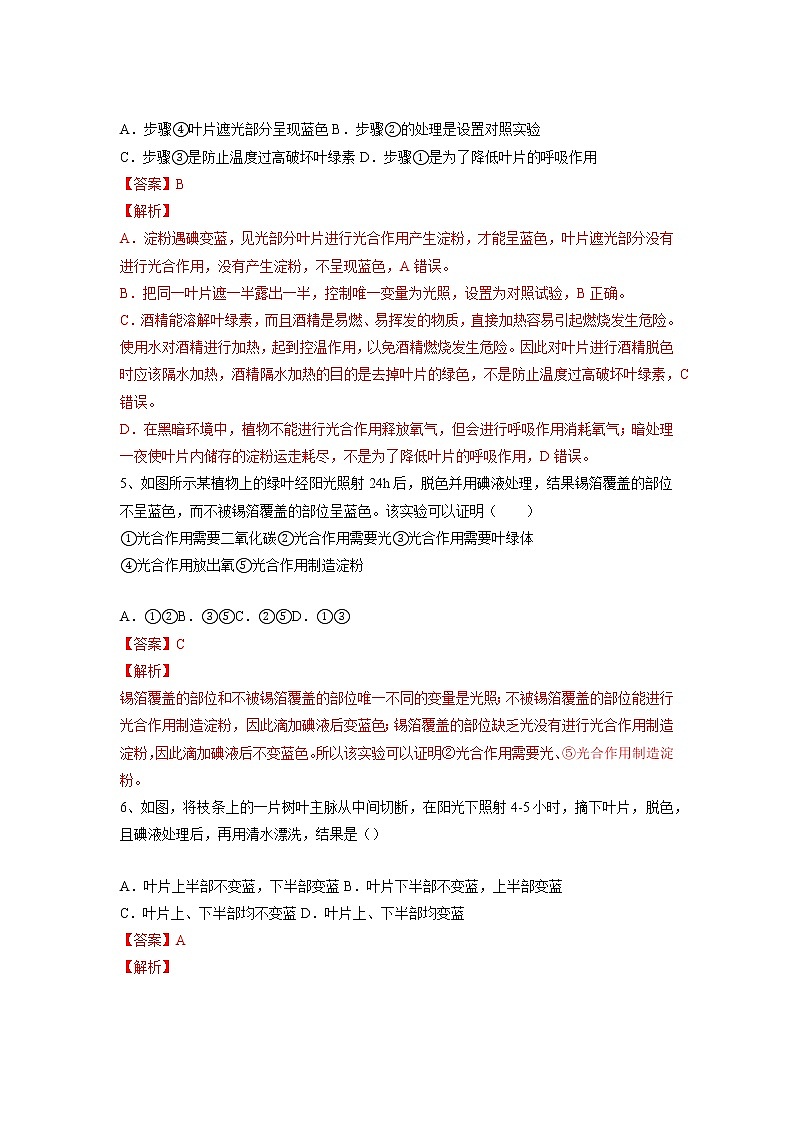 专题07 绿色植物的光合作用（习题）-【过一轮】2022年中考生物一轮复习课件精讲与习题精练（解析版）第2页