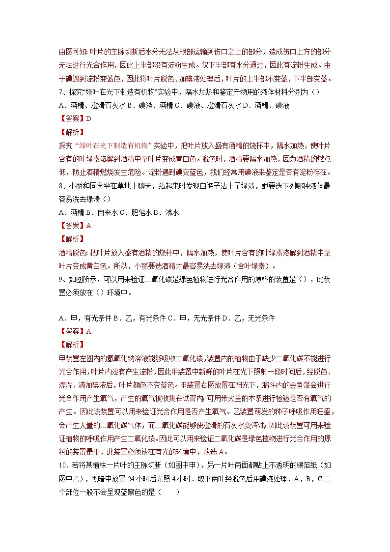 专题07 绿色植物的光合作用（习题）-【过一轮】2022年中考生物一轮复习课件精讲与习题精练（解析版）第3页