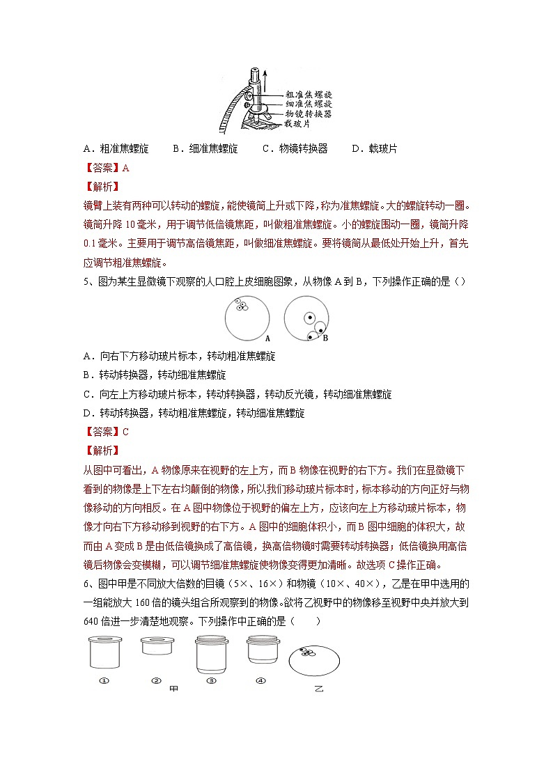 专题02 细胞是生命活动的基本单位（习题）-【过一轮】2022年中考生物一轮复习精讲与习题精练02