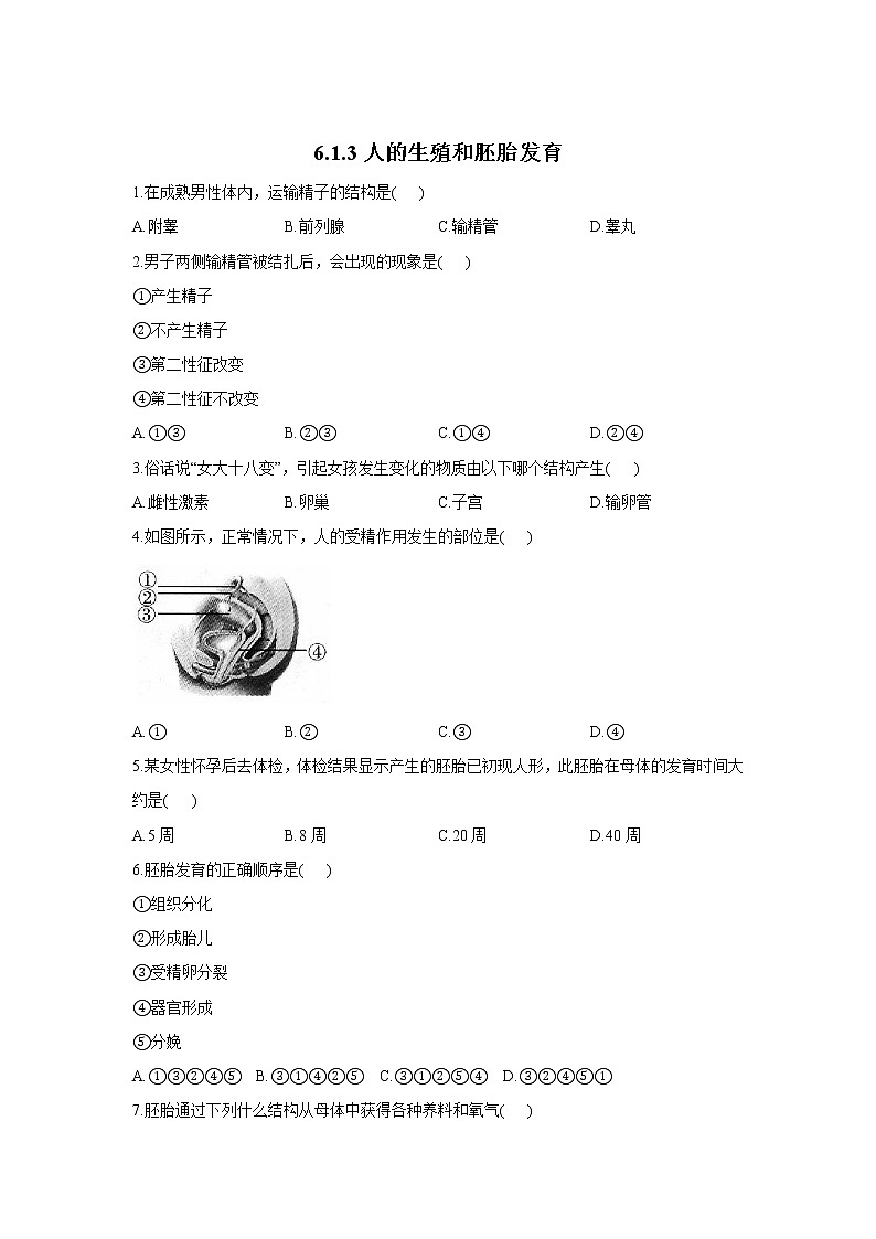 6.1.3人的生殖和胚胎发育-2021-2022学年生物 冀教版八年级下册随堂小测第1页