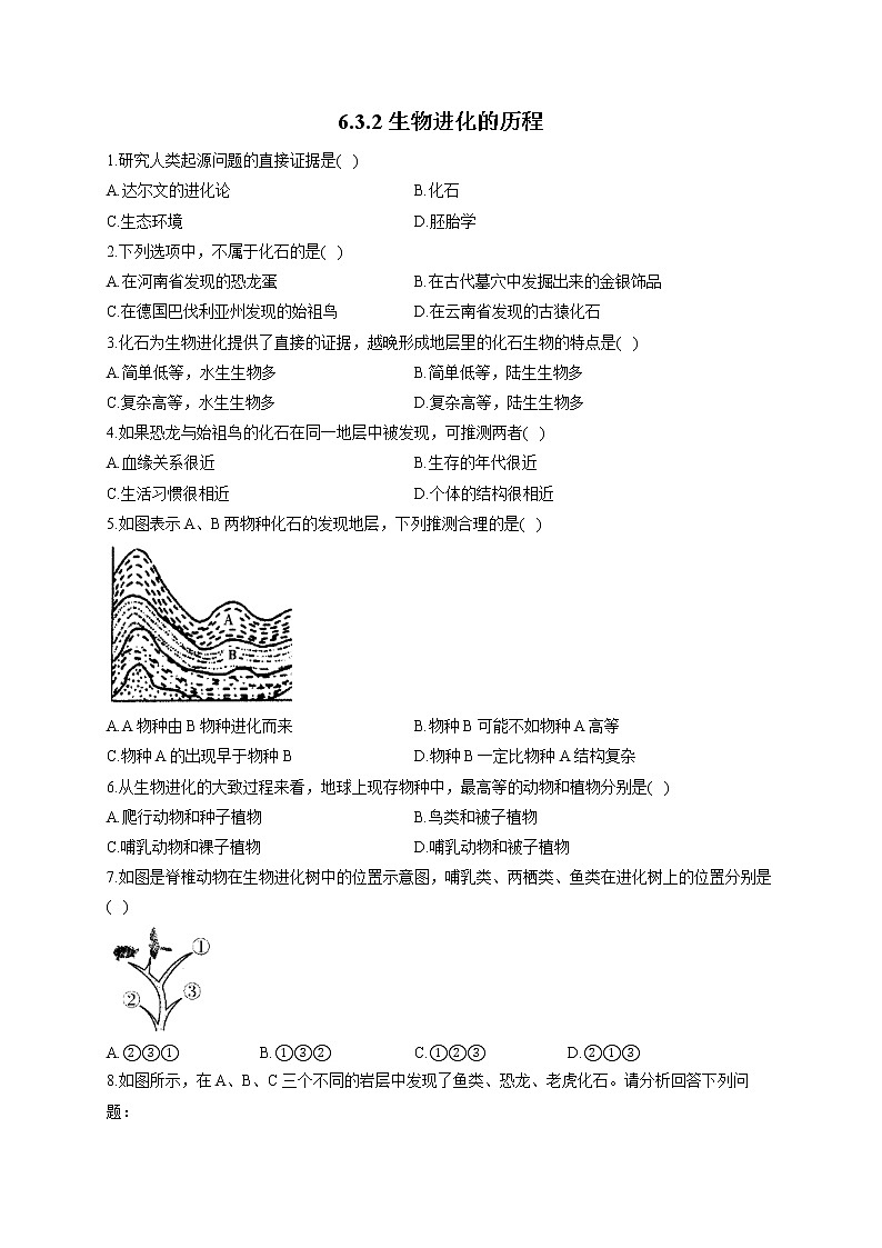 6.3.2生物进化的历程-2021-2022学年生物 冀教版八年级下册随堂小测01