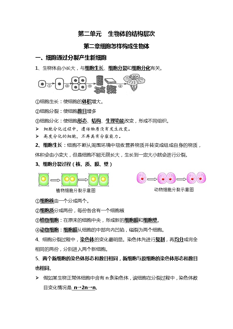 03 细胞怎样构成生物体-2022年中考生物一轮复习核心考点必背知识清单01