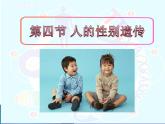 《第四节 人的性别遗传》课件