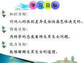 《第四节 人的性别遗传》课件