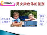 《第四节 人的性别遗传》课件
