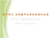 八年级生物下册第七单元生物圈中生命的延续和发展第二章生物的遗传与变异第四节人的性别遗传教学课件新人教版