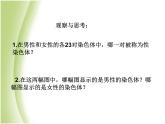 八年级生物下册第七单元生物圈中生命的延续和发展第二章生物的遗传与变异第四节人的性别遗传教学课件新人教版
