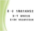 八年级生物下册第七单元生物圈中生命的延续和发展第一章生物的生殖和发育第一节植物的生殖第1课时有性生殖和无性生殖作业课件新人教版