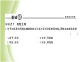 八年级生物下册第七单元生物圈中生命的延续和发展第一章生物的生殖和发育第一节植物的生殖第1课时有性生殖和无性生殖作业课件新人教版