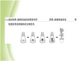 八年级生物下册第七单元生物圈中生命的延续和发展第一章生物的生殖和发育第一节植物的生殖第2课时无性生殖的应用作业课件新人教版