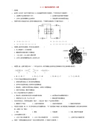 人教版 (新课标)七年级下册第三节 输送血液的泵──心脏巩固练习