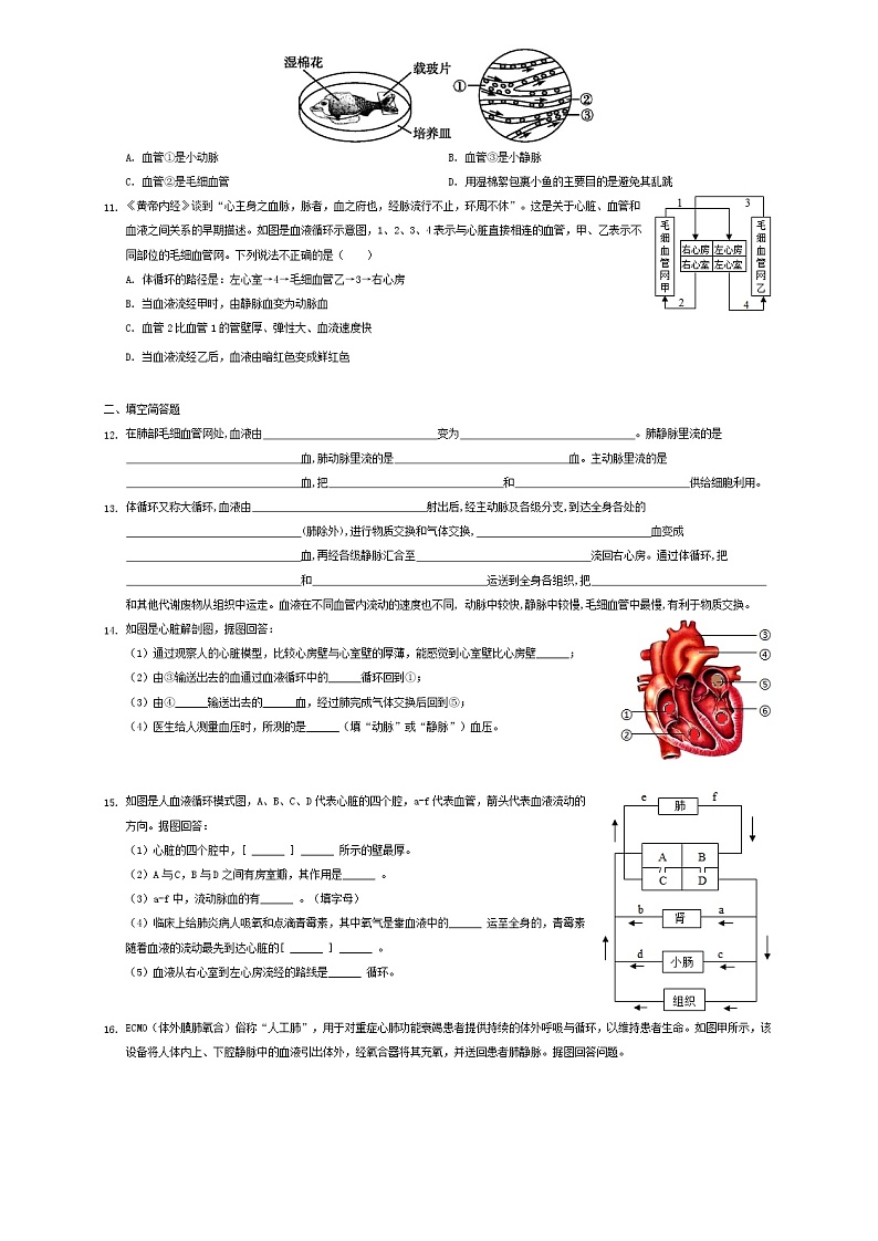 七年级生物下册4.4.3输送血液的泵课堂练习新人教版第2页