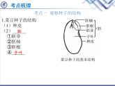 生物中考复习第4章被子植物的一生PPT课件