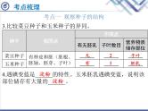 生物中考复习第4章被子植物的一生PPT课件