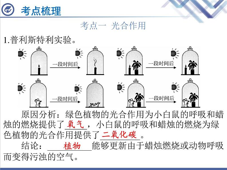 生物中考复习第7章绿色植物与生物圈中的碳—氧平衡PPT课件02