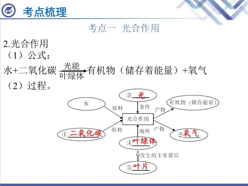 生物中考复习第7章绿色植物与生物圈中的碳—氧平衡PPT课件03