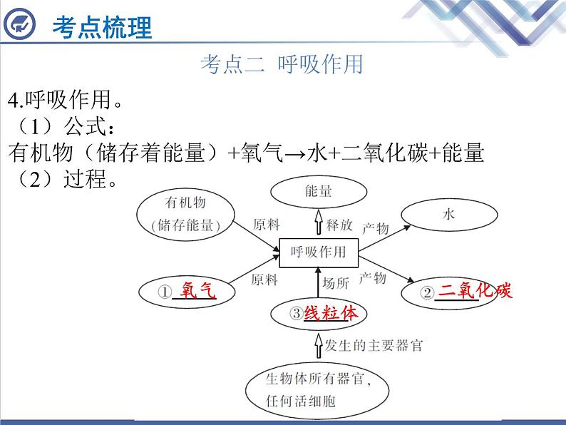 生物中考复习第7章绿色植物与生物圈中的碳—氧平衡PPT课件05