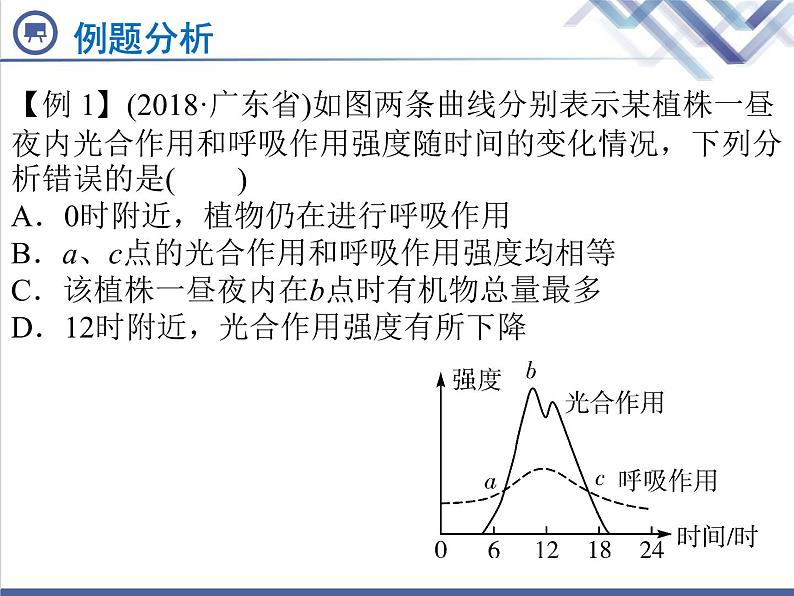 生物中考复习第7章绿色植物与生物圈中的碳—氧平衡PPT课件08