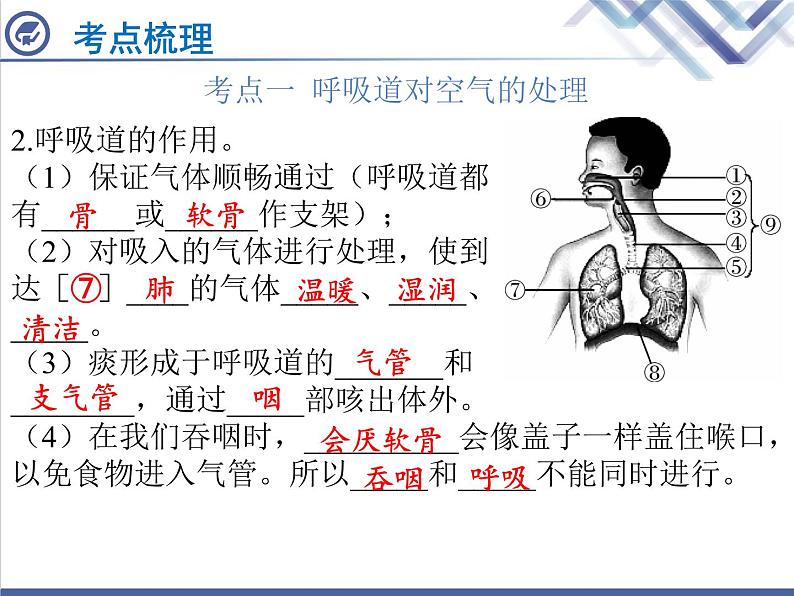 生物中考复习第9章人体的呼吸PPT课件03