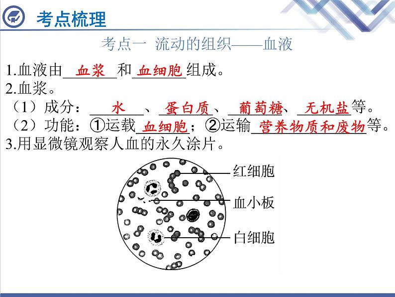 生物中考复习第10章人体内物质的运输PPT课件02