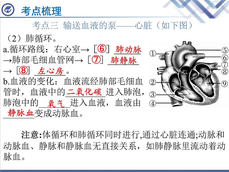 生物中考复习第10章人体内物质的运输PPT课件08