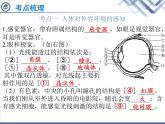 生物中考复习第12章人体生命活动的调节PPT课件