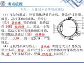 生物中考复习第12章人体生命活动的调节PPT课件