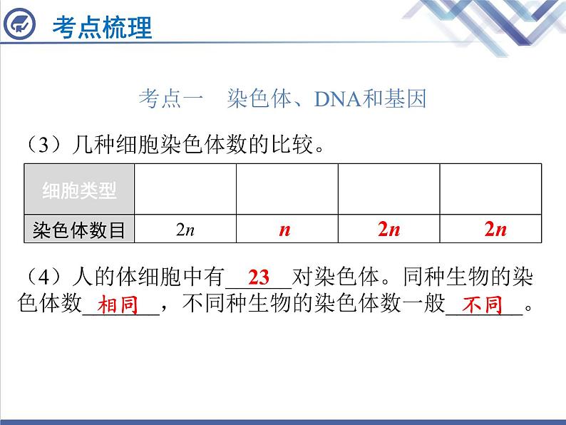 生物中考复习第16章生物的遗传与变异PPT课件04