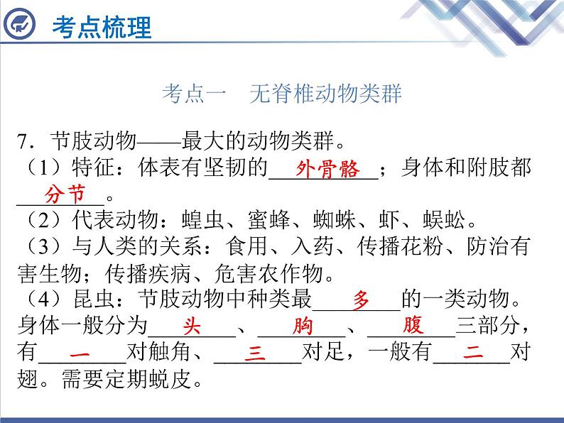 生物中考复习第19章动物的主要类群PPT课件第7页